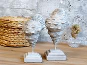Conch Shell on Stand, Small, French Grey image