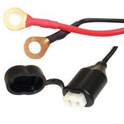  Maximiser/Oximiser-Fused Ring leads Battery Care - USA/SAE Connector image