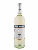 Pio Cesare Gavi image