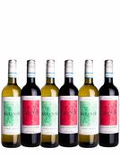 Volunte Italian Red &amp;amp; White Mixed Case