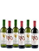 Domus Vini Red &amp;amp; White Mixed Case