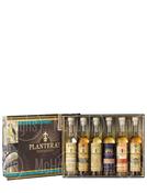 Planteray Experience Gift Set