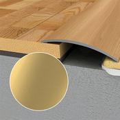 WRG2 38mm Reducer Adhesive Profile P2 Gold 900mm image