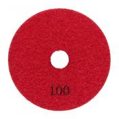 Dry Polishing Pad 100mm image