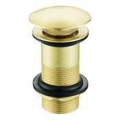 Brushed Brass Unslotted Waste image