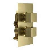 Shower Valve (Square, Concealed, Twin, 1 Outlet) - Brushed Brass