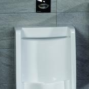 Florida Back Inlet Urinal - White image
