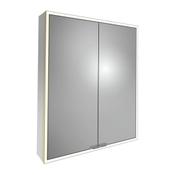 Portrait Mirror Cabinet (Double Door) - Brushed Brass 600mm