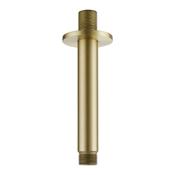 Round Shower Arm (Ceiling) - Brushed Brass 120mm image