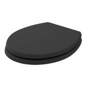 Fitzroy Coloured Soft Close Wooden Seat - Matt Black image