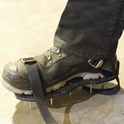 Spiked Shoes image