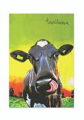 Eoin O'Connor Set of 3 T-Towels