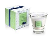 Gooseberry Filled Tumbler Glass