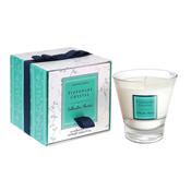 Saltwater Shores Filled Tumbler Glass