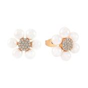 Tc Daisy - Pearl 2cm Stud Earrings Gold