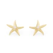 Tc Under The Sea - Starfish Earrings Gold