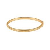 TC Snake Skin Bangle Gold image