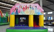 Princess Large Combi image