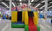 Princess Small Combi Si42 image