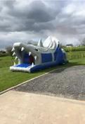 Shark Obstacle Course
