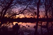 Peeking at Lough Meela