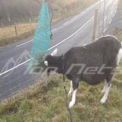 Feeding Net (Medium) image