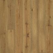 Canadia Mountain Trail Oak | 14mm | 2.591Y2/2.37m2 | 1435