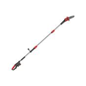 Dargan Pole Saw Pruner 8in Oregon Bar And Chain 20V | Battery + Charger | DG29