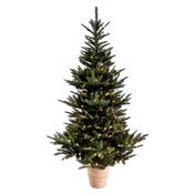 Portland Fir 6 ft Pre-Lit Luxury Tree Shasta Fir Potted Tree | EB168A