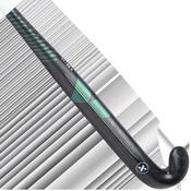 BB X (2026) image