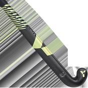 GGLB 50 (2026) image