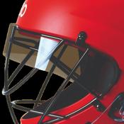 ABS / Carbon Blinders