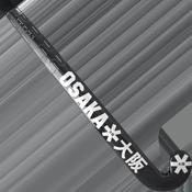 Indoor Pro Bow 25 (2026) image