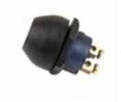 Massey Water Proof Press Button Switch image
