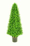 Boxwood Pyramid 100cm