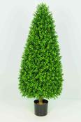 Boxwood Tower 3.5ft