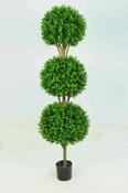 Boxwood 3 Ball 4ft