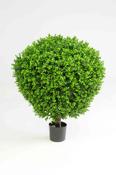 Boxwood Ball in Pot 75cm
