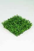 Boxwood Tile