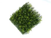 Green Day Leat Tile