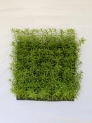Glod Senecio Tile