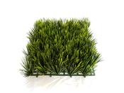 Needle Pine Tile