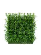 Taxus Tile