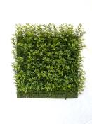 Tea Leaf Tile
