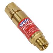 Acetylene Flash Back Arrestor image