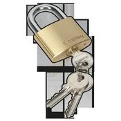 Brass Body Padlock 50mm image