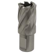22mm HSS Mag Drill Bit Cut Depth 25mm image