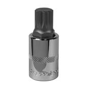 Spline Socket Bit 1/2"Sq Drive M16 image