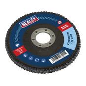 125mm Zirconium Flap Disc 120Grit 22mm Bore image