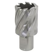 29mm HSS Mag Drill Bit Cut Depth 25mm image